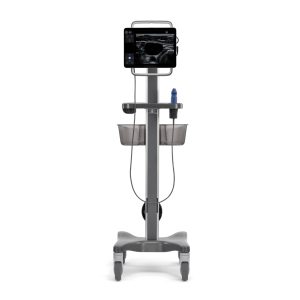 Kosmos Vascular Secma